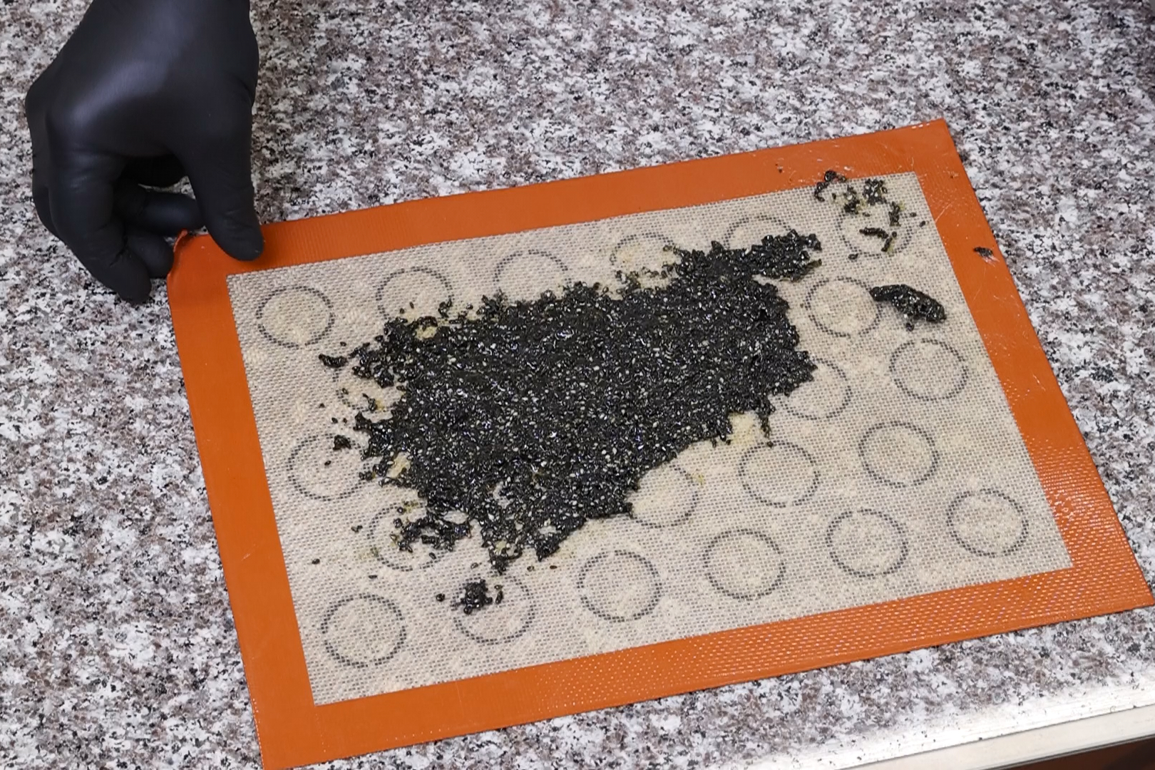 motorta2024_fazisfoto_026.jpg motorta2024_fazisfoto_026.jpg