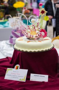 2024. Pataki János Emlékverseny